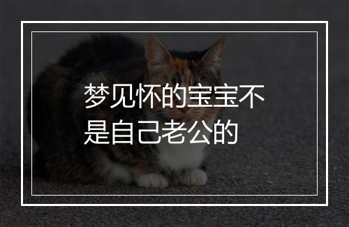 梦见怀的宝宝不是自己老公的