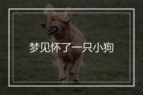 梦见怀了一只小狗