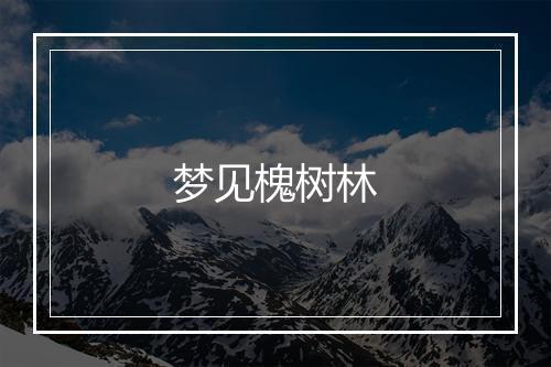 梦见槐树林