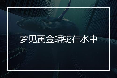 梦见黄金蟒蛇在水中