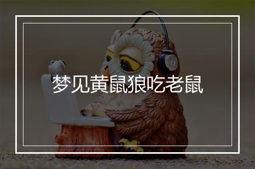 梦见黄鼠狼吃老鼠