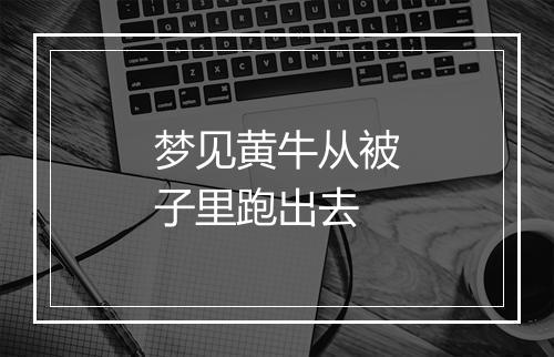 梦见黄牛从被子里跑出去