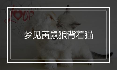 梦见黄鼠狼背着猫