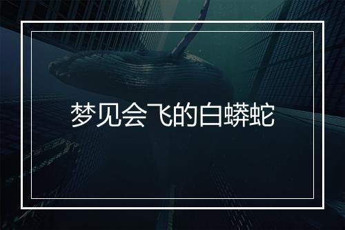 梦见会飞的白蟒蛇