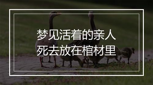 梦见活着的亲人死去放在棺材里