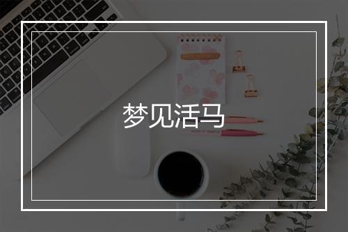 梦见活马