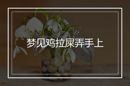 梦见鸡拉屎弄手上