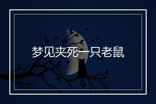 梦见夹死一只老鼠