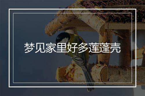 梦见家里好多莲蓬壳