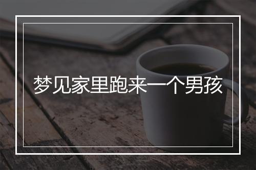 梦见家里跑来一个男孩