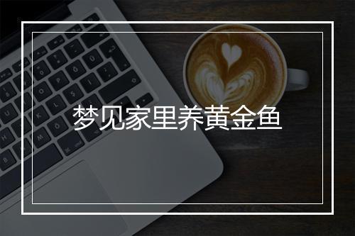 梦见家里养黄金鱼