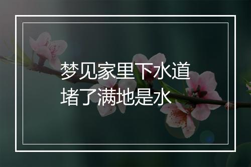 梦见家里下水道堵了满地是水