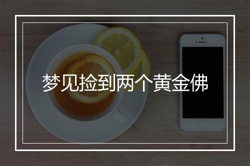 梦见捡到两个黄金佛