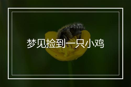 梦见捡到一只小鸡