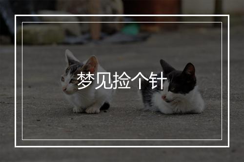 梦见捡个针