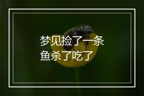 梦见捡了一条鱼杀了吃了