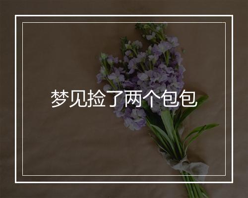 梦见捡了两个包包