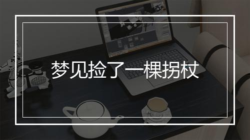 梦见捡了一棵拐杖