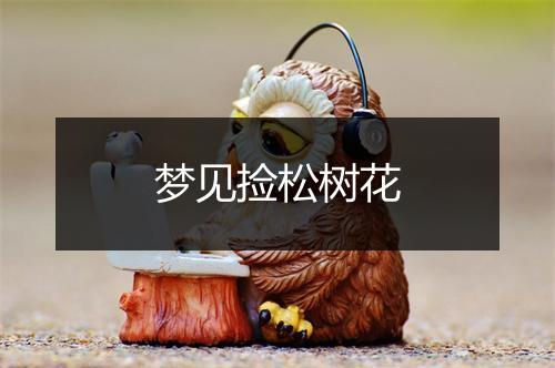 梦见捡松树花