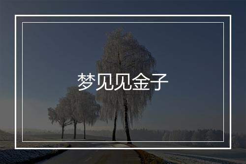 梦见见金子