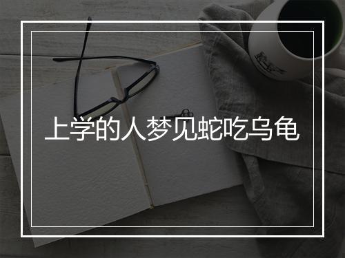 上学的人梦见蛇吃乌龟