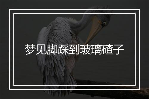 梦见脚踩到玻璃碴子