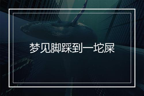 梦见脚踩到一坨屎