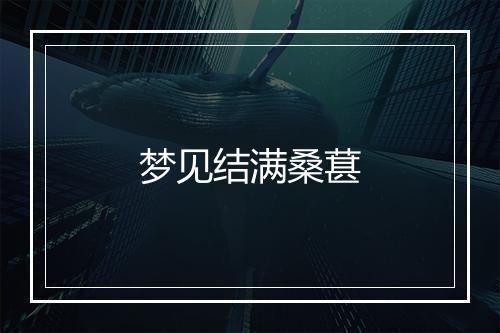 梦见结满桑葚