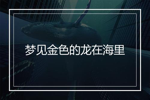 梦见金色的龙在海里