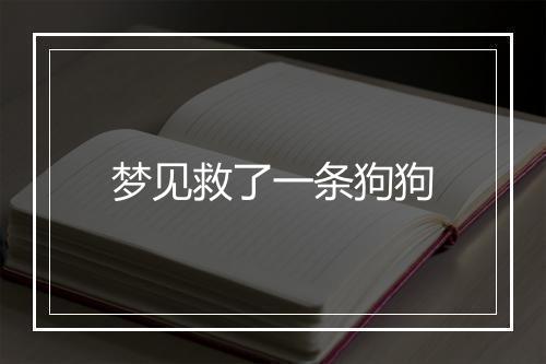 梦见救了一条狗狗