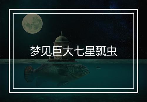 梦见巨大七星瓢虫