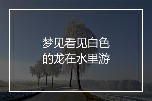 梦见看见白色的龙在水里游