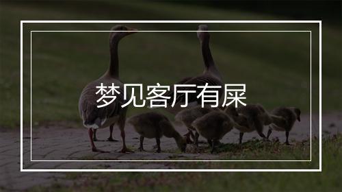 梦见客厅有屎