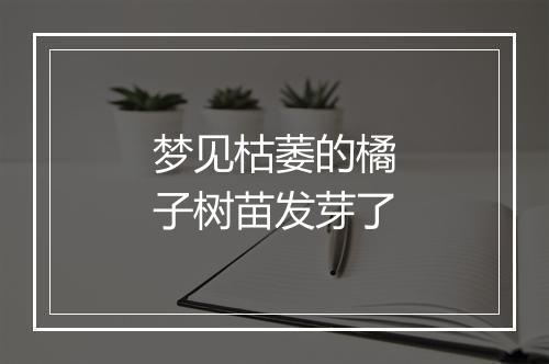 梦见枯萎的橘子树苗发芽了