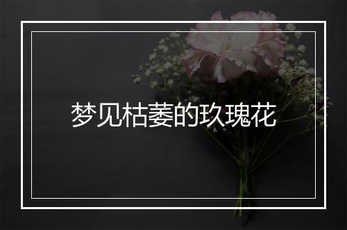 梦见枯萎的玖瑰花