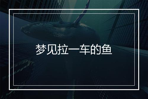 梦见拉一车的鱼