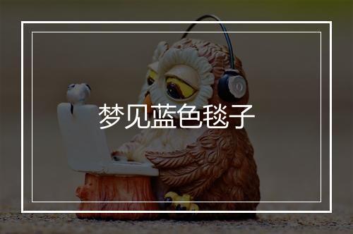 梦见蓝色毯子