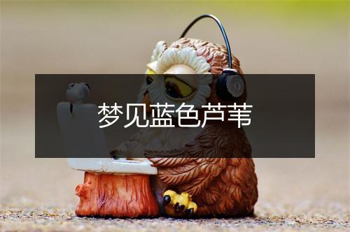 梦见蓝色芦苇