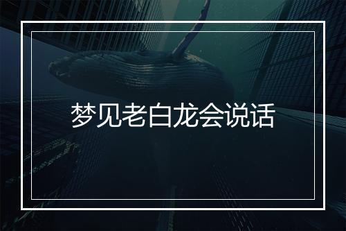 梦见老白龙会说话