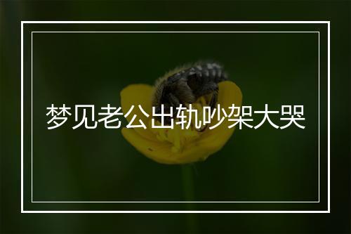 梦见老公出轨吵架大哭