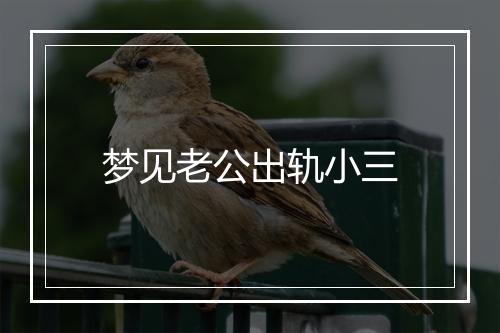 梦见老公出轨小三