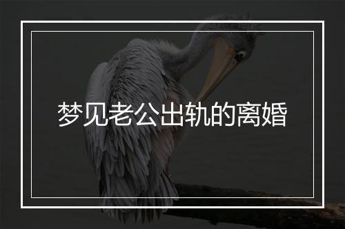 梦见老公出轨的离婚