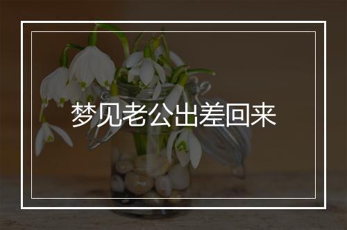 梦见老公出差回来