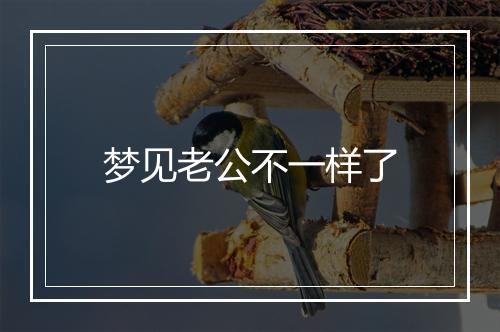 梦见老公不一样了