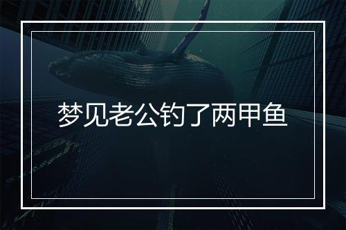 梦见老公钓了两甲鱼