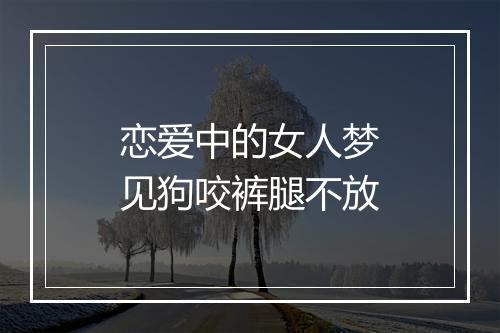 恋爱中的女人梦见狗咬裤腿不放