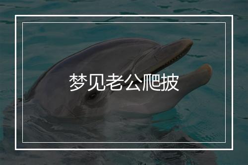 梦见老公爬披