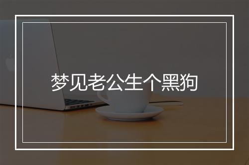 梦见老公生个黑狗