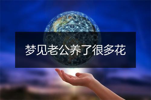 梦见老公养了很多花