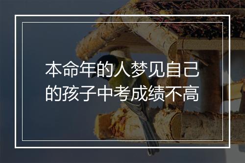 本命年的人梦见自己的孩子中考成绩不高